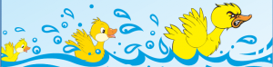 duck banner Duck Races Banner