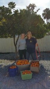 20150215_103647_001_resized