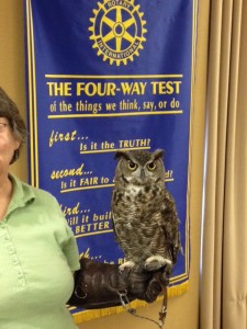 Photo by Erin McGregor